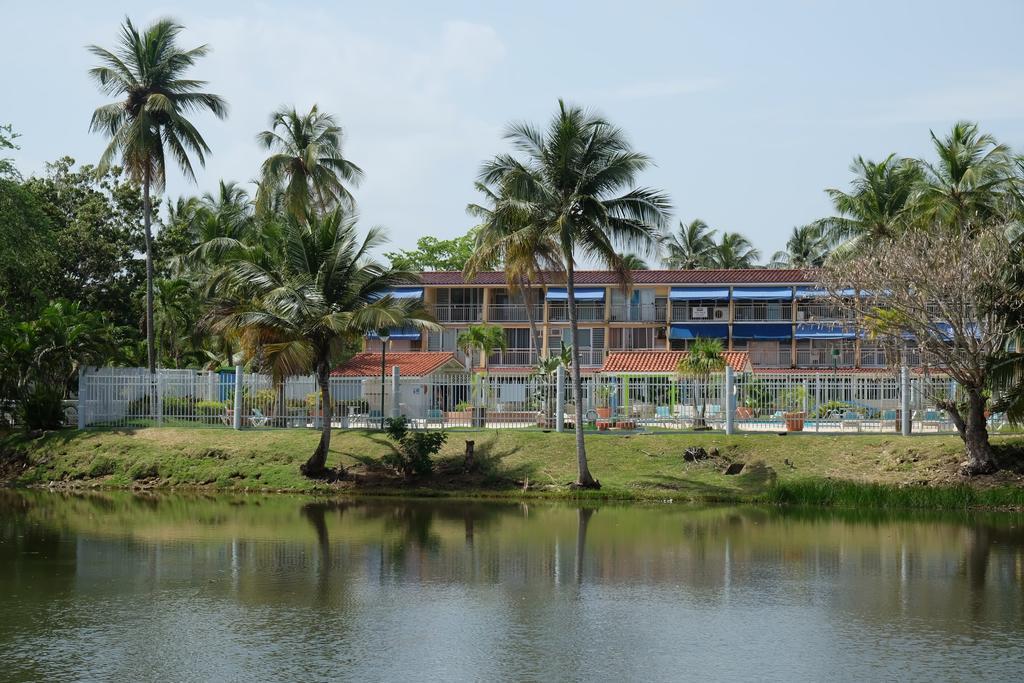 Paradigm Villa Dorado Extérieur photo